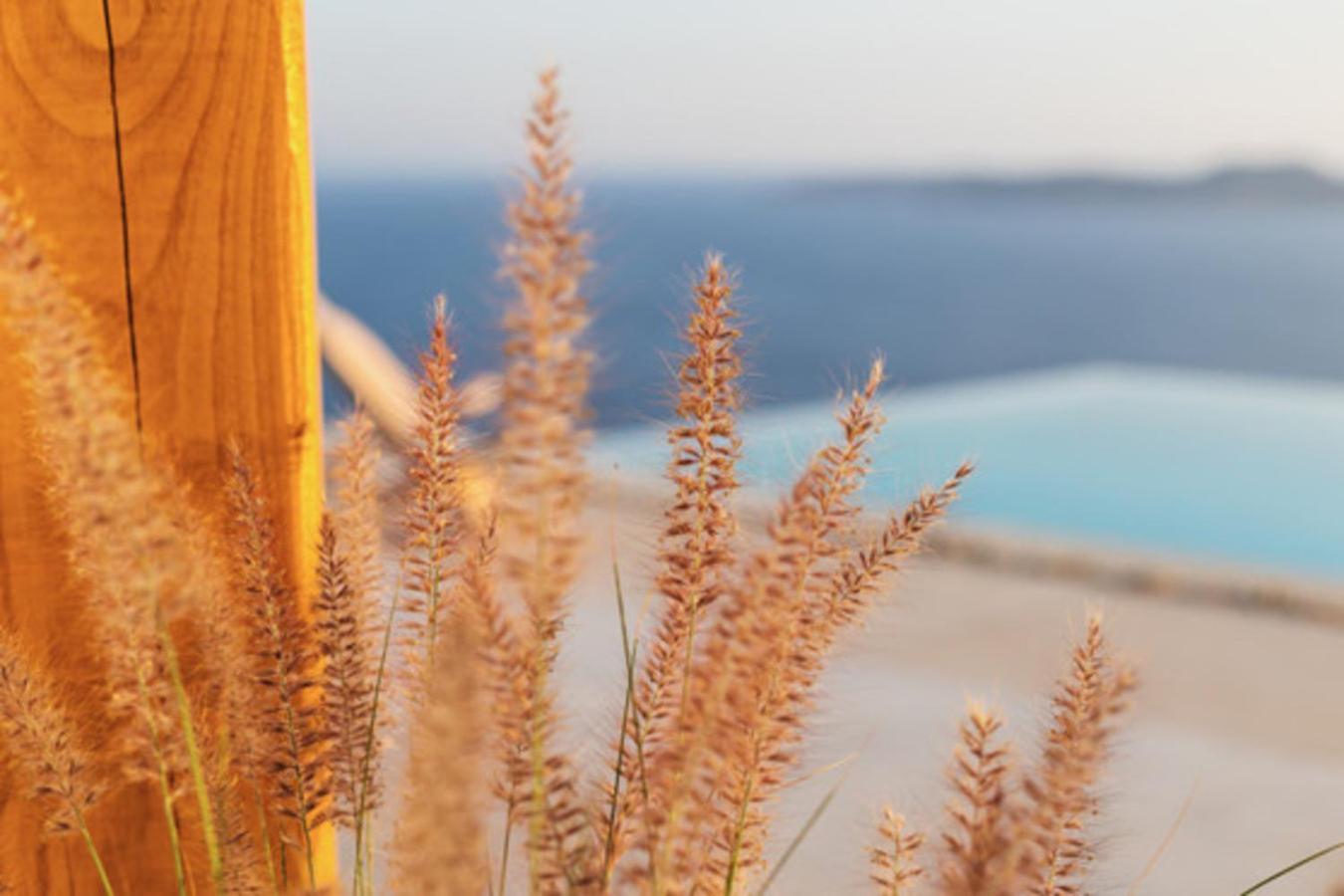 Birdhouse Private Luxury Suite Agios Ioannis Diakoftis المظهر الخارجي الصورة